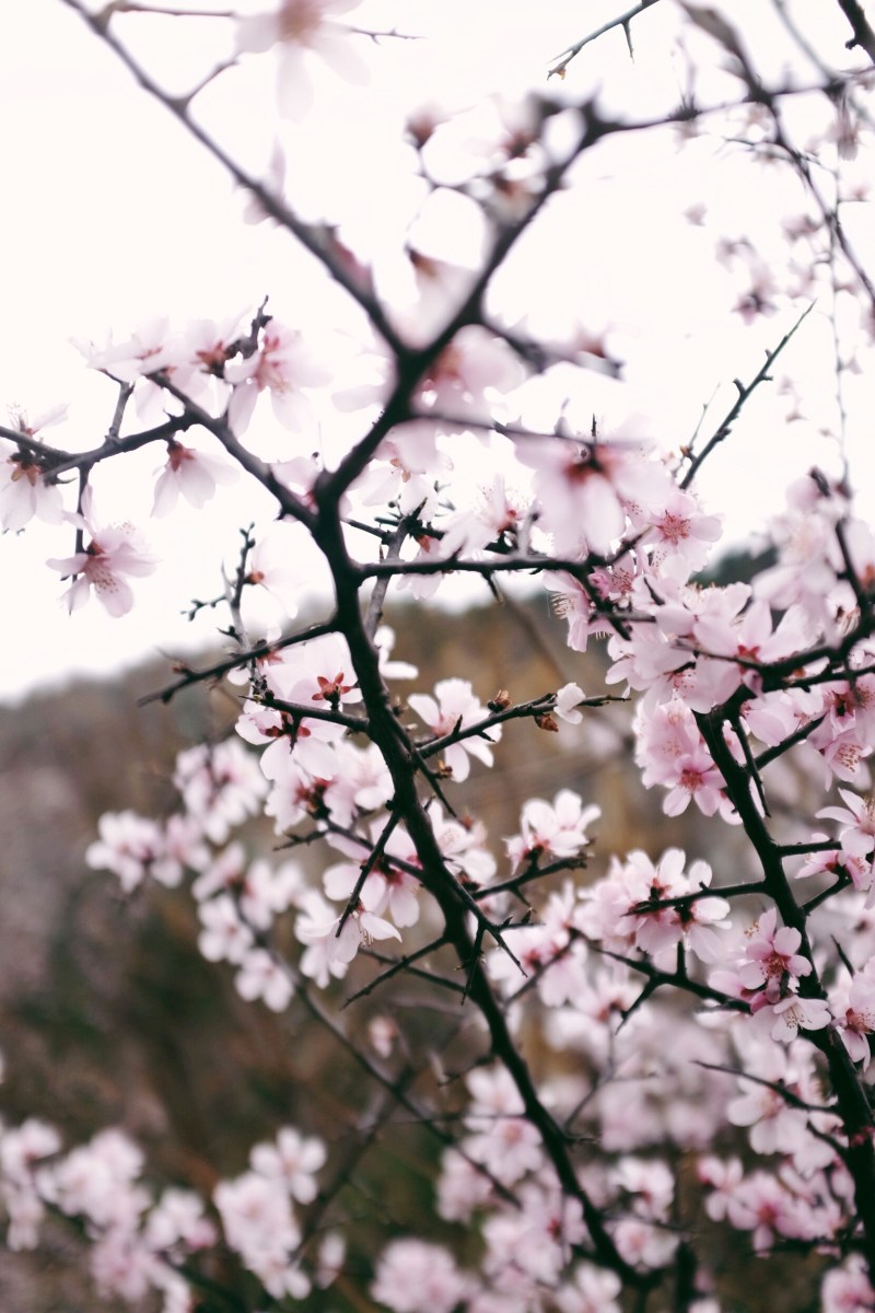 Processed with VSCOcam with 6 preset