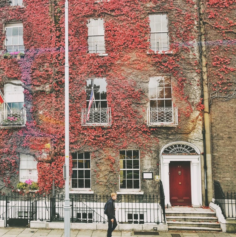 28402158214_0c73b537e4_o